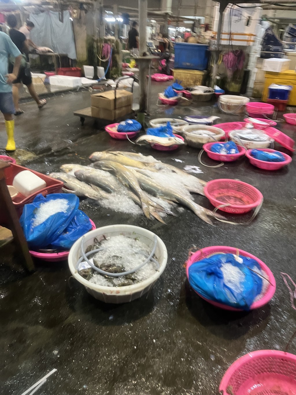 Seafood Psychodelicide