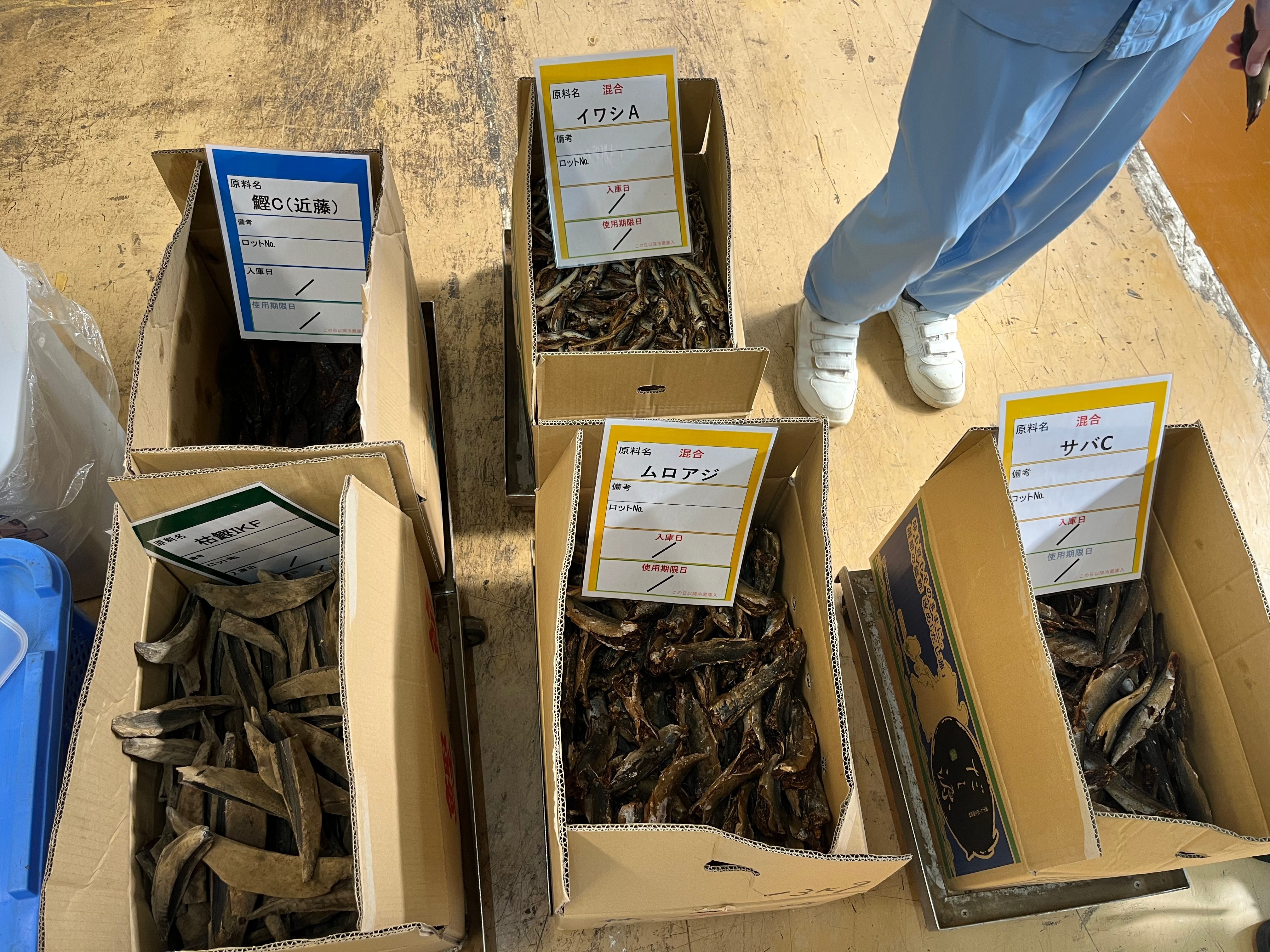 Karl Katsuobushi Presents… The Bonito Blog